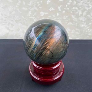 Bi Cầu Hắc Nguyệt Quang