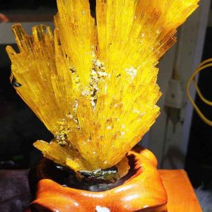 Hoa Ưu Đàm (Aragonite) Cao 5 (cm)