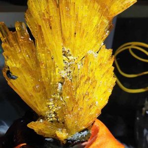 Hoa Ưu Đàm (Aragonite) Cao 5 (cm)